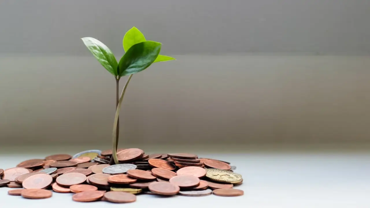 Debt Free Journey